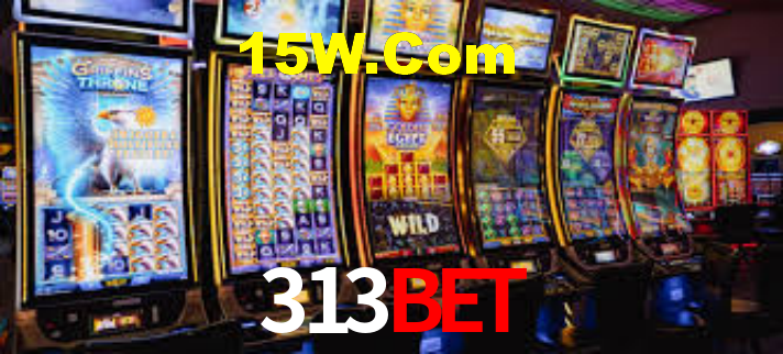 Interface Premium 313bet
